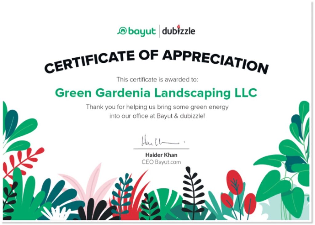 Bayut & Dubizzle — Certificate of Appreciation