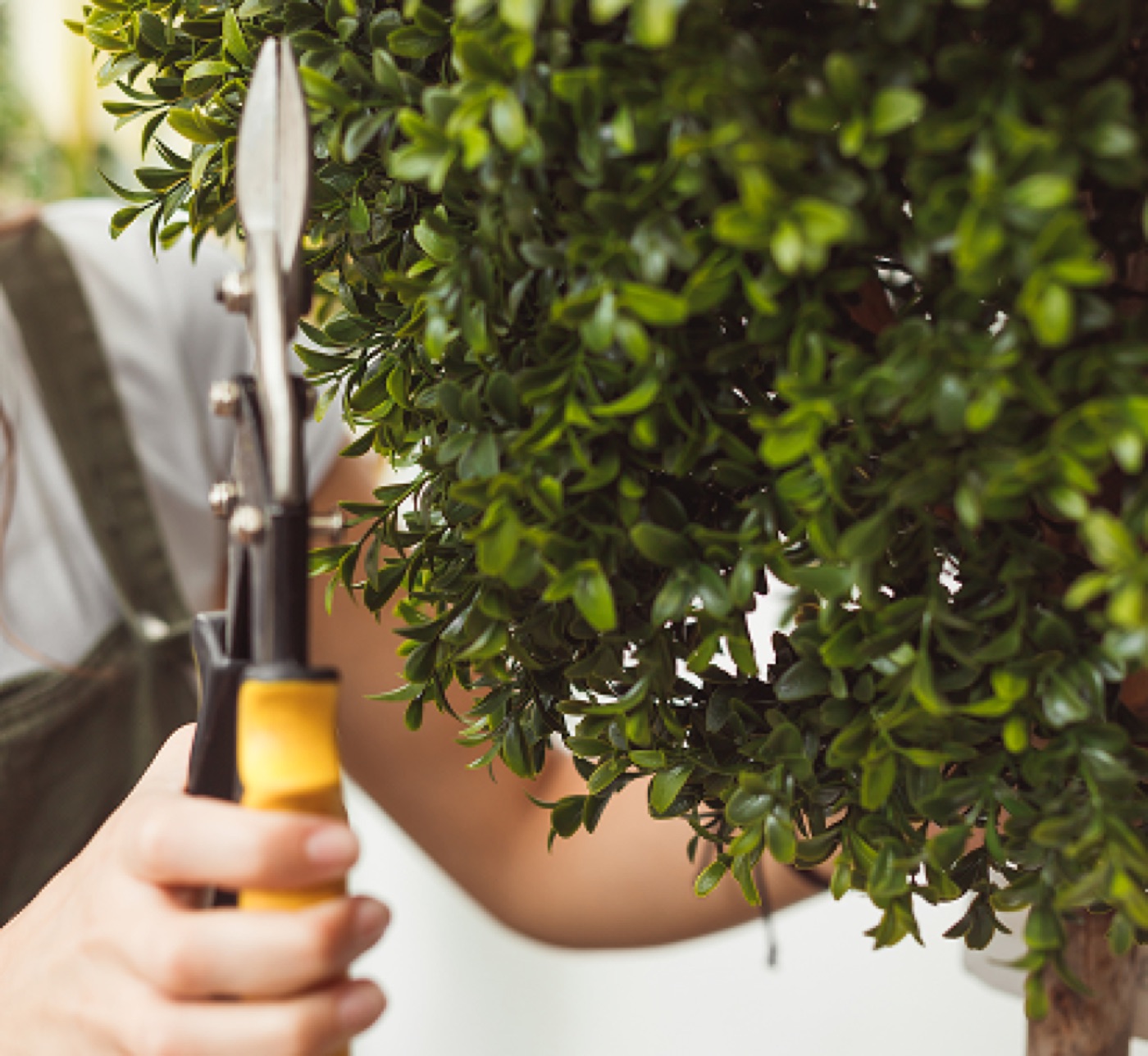 Landscape Maintenance