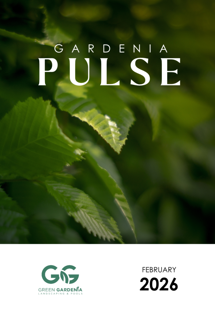 Gardenia Pulse Magazine – February 2026